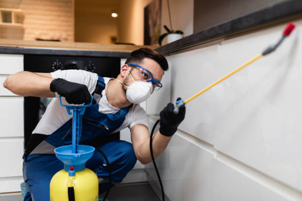 Trusted Pulaski, WI Pest Control Experts