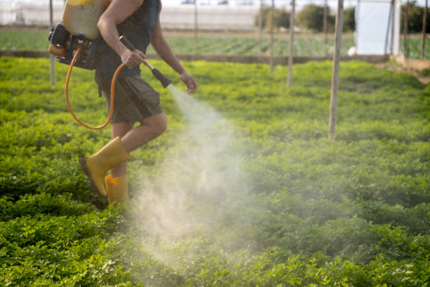 Best Affordable Pest Control Services  in Pulaski, WI