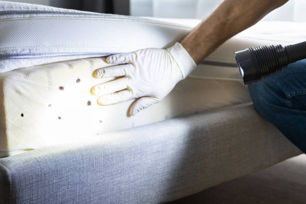 Best Pest Prevention Services  in Pulaski, WI