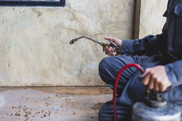 Pest Control for Restaurants in Pulaski, WI