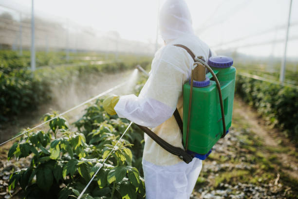 Best Best Pest Control Near Me  in Pulaski, WI